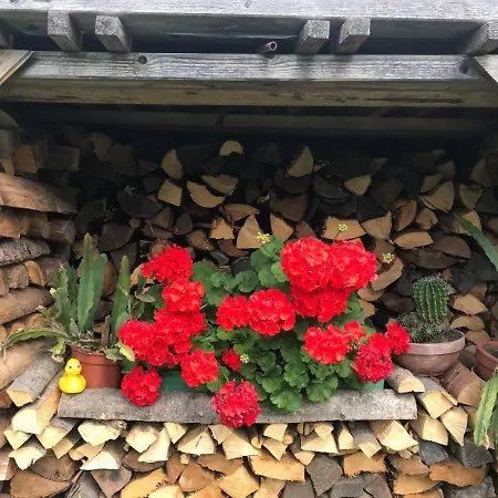 Homestay szállás Gaestehaus Dullnig Obervellach