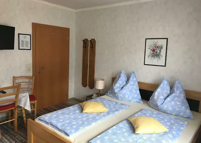 منزل للإقامة Gaestehaus Dullnig *