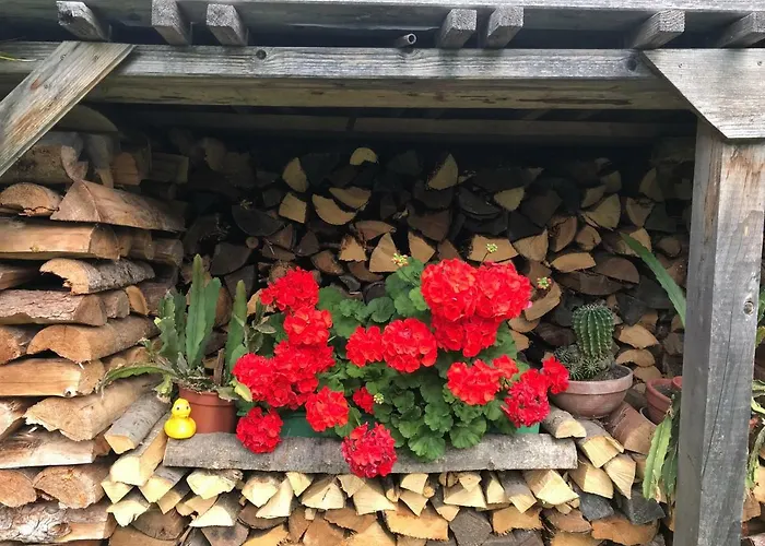 Homestay Gaestehaus Dullnig Obervellach